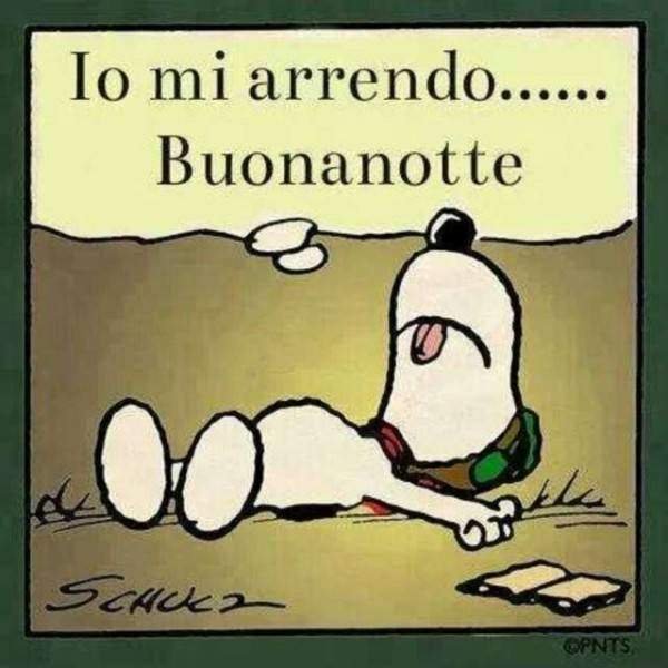 Immagini Buonanotte Divertenti Immagini Buonanotte